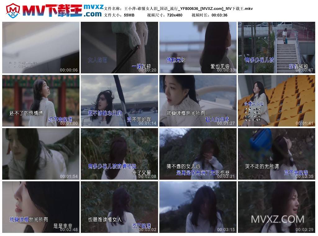 王小萍-谁懂女人泪_国语_流行_YF800636